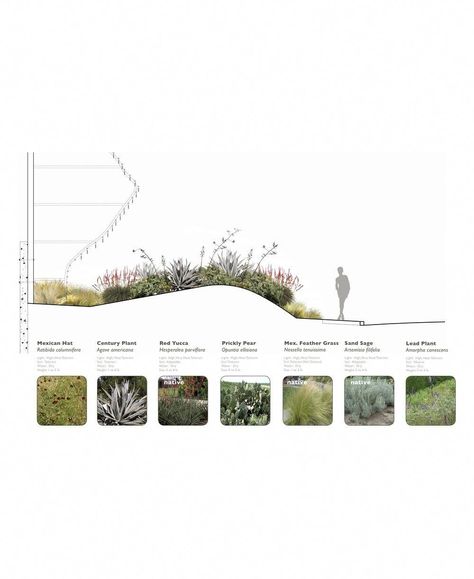 Landscape Architecture Graphics, Power Art, Landscape Architecture Drawing, Planting Plan, Architecture Graphics, Landscape Architecture Design, Landscape Plans, Bangor, Landscaping Tips