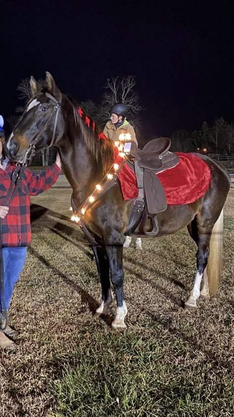 Horses In Christmas Parade, Christmas Parade Horse Ideas, Horse Christmas Parade Ideas, Christmas Horse Costumes, Horse Christmas Parade, Horse Halloween, Horse Outfits, Christmas Horse, Horse Costumes