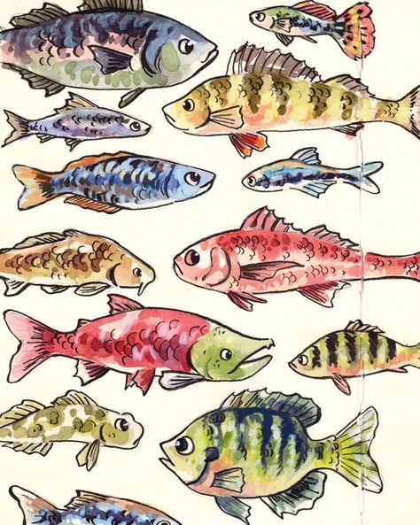 A bunch of fishies from my sketchbook! This is also from July's package - it's all about fish this month 🐟🐠 #sketchbook #sketchbookspread #sketchbookpage #fish #illustration #watercolour Fishies Drawing, Colorful Animal Drawings, Fish Drawing Abstract, Fishes Illustration, Fish Art Drawing, Sketchbook Journaling Ideas, Sea Fish Drawing, Fish Drawing Aesthetic, Pretty Fish Drawing