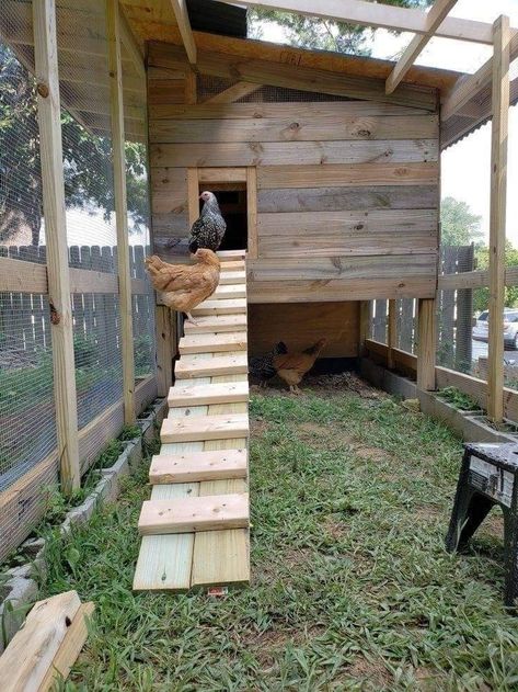 Pallet Chicken Coop Ideas Diy, Amazon Chicken Coop, Chicken Coop Sloped Yard, Simple Large Chicken Coop, Slanted Roof Chicken Coop, Chicken Coop Ramp Ideas, 6 Chicken Coop Plans, 10x10 Chicken Coop, Chicken Ramp Ideas