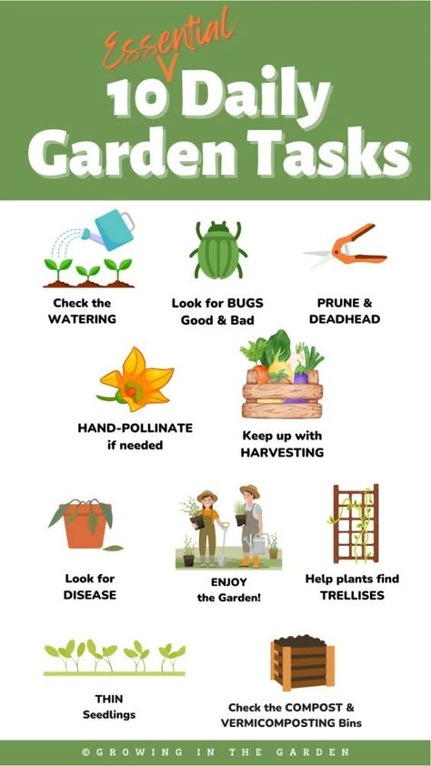 Are you looking for a foolproof way to ensure your garden thrives? Check out our Daily Garden Checklist, complete with a free printable! Our checklist covers the 10 essential tasks you need to do every day to maintain a beautiful and healthy garden. From watering to weeding, our checklist has got you covered. Download our free printable and get started today! #gardeningtips #gardenchecklist #dailyroutine #greenery #gardenlove #printable #freeprintable #gardenmaintenance #gardeninghacks Community Garden Ideas, Garden Checklist, Garden Organization, Small Vegetable Gardens, Future Garden, Garden Hacks, Starting A Garden, Gardening 101, Garden Maintenance