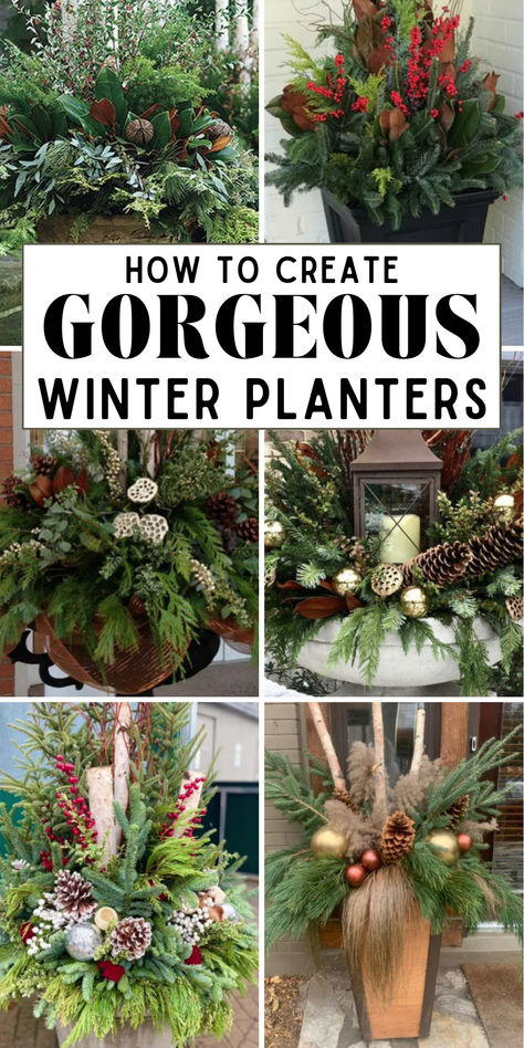 Gardening doesn't have to stop when the temperature drops! Explore our post full of winter container planter ideas that will make your home festive this season! Winter Urns Outdoor Planters, Outdoor Winter Planter Ideas, Winter Porch Pots Diy, Winter Pots Outdoor Planters, Christmas Planter Ideas, Condo Entrance, Winter Porch Ideas, Window Box Decor, Winter Garden Ideas