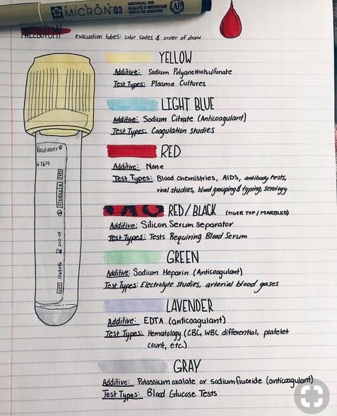 Pin by Madison Hensen on A&P HELP ‼️ | Nursing school survival, Medical assistant student, Nursing school notes Phlebotomy Study, Medical Assistant Student, Nursing School Motivation, Kedokteran Gigi, Nurse Study Notes, Nursing Student Tips, Medical Student Study, Medical Laboratory Science, Nursing School Survival