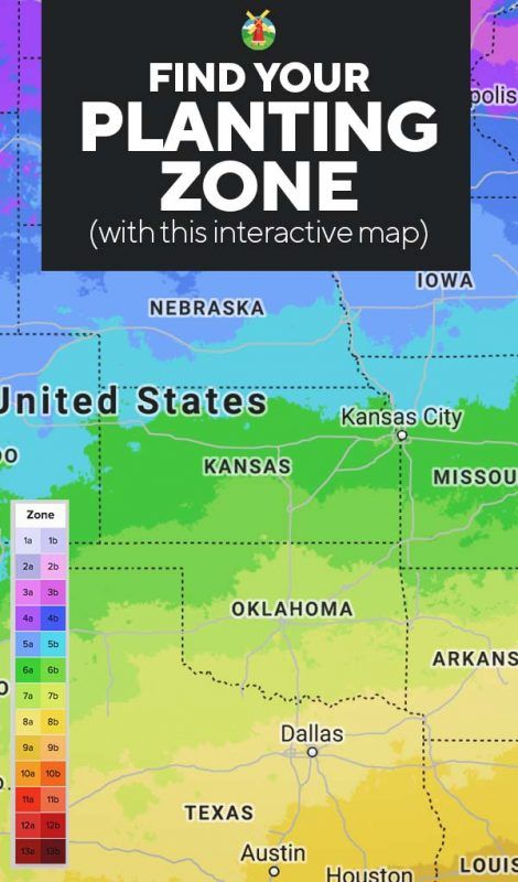 Planting Zones Map | Find Your Gardening Zones by ZIP Code Growing Zones Map, Gardening Zone Map, Planting Zones Map, Planting Zones, Gardening Zones, Plant Zones, Texas Gardening, Fall Garden Vegetables, Creative Gardening