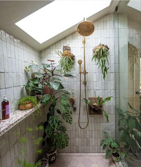 Plant Shower Ideas, Rainforest Inspired Bathroom, Shower With Plants Inside, Bathroom Astethic Cozy, Plants In The Shower Ideas, Shower With Plants, Plants In Shower Ideas, Plants In Shower, Bathroom With Plants