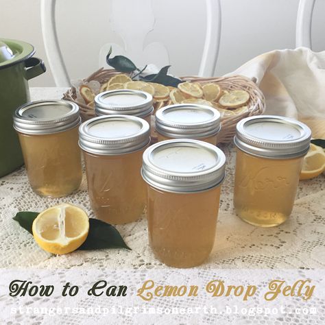 Lemon Jelly Recipe, Pickled Brussel Sprouts, Canning Jelly, Lemon Jam, Currant Jelly, Canning Jam Recipes, Homemade Preserves, Canning Fruit, Lemon Jelly