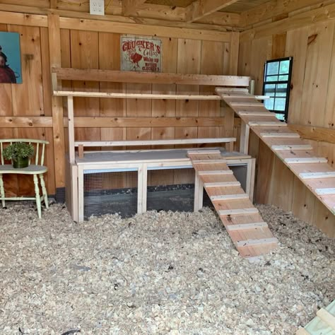 In Coop Brooder, Chicken Coop With Built In Brooder, Brooder In Chicken Coop, Chicken Coop Brooder, Coop With Brooder, Chicken Coop With Brooder Inside, Chicken Brooder In Coop, Brooder Box Inside Chicken Coop, Brooder In Coop