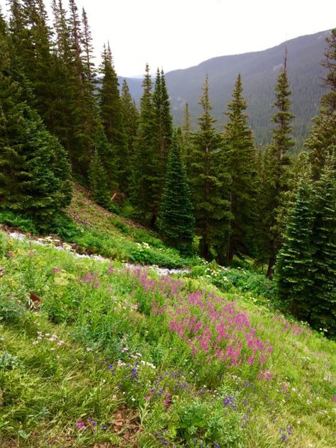 Nederland Colorado, Cross Country Skier, End Of Spring, Colorado Summer, Colorado Vacation, Outdoor Store, Colorado Mountains, Mountain Resort, Beautiful Waterfalls