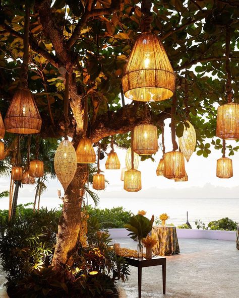 Hanging Lights From Tree, Outdoor Tree Lanterns, Tree Lanterns Hanging Backyard, Lanterns On Trees, Tree Lanterns Hanging, Tree With Lanterns, Outdoor Tree Lights, Lanterns Hanging From Trees, Lanterns In Trees