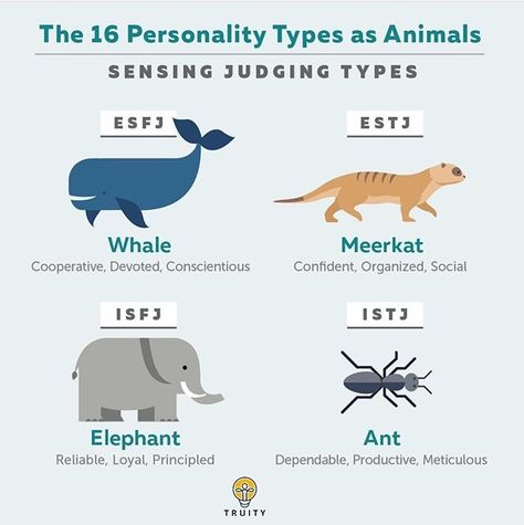 Mbti Animals, Accurate Personality Test, Personality Types Test, What Animal Are You, Personality Quizzes Buzzfeed, The 16 Personality Types, The Adventure Challenge, Infp Personality Type, Fun Personality Quizzes