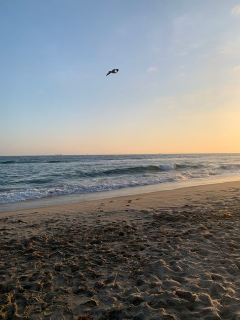 California Ocean Aesthetic, Huntington Beach Aesthetic, Hungtinton Beach California, Beach Aesthetic California, Huntington Beach California Aesthetic, Beach California Aesthetic, Lifeguard Aesthetic, California Beach Aesthetic, Marine Kingdom