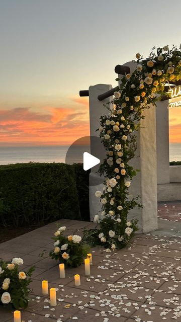 California Wedding + Event Content Creator on Instagram: "When your pup knows he’s the one for you 💍🐶

We love a detailed & thoughtful partner ✨ 

Proposal set up by @lvrflorals 
Bts & content creation @cadensocials 
Couple @emmiliasopphia & @rahherron 
Special guest 🐶 @canela__girl 

#ocproposals #proposalvideo #eventcontentcreator" South Africa Proposal, Wedding Proposal Decoration Ideas, Proposal Set Up, Proposal Set Up Ideas Outside, Outdoor Proposal Ideas, Intimate Proposal Ideas, Simple Proposal Ideas, Creative Proposal Ideas, Best Proposal Ideas