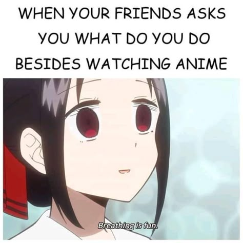 Nonchalant Anime Pfp, Anime Funny Memes, Otaku Issues, Funny Anime Memes, Anime Mems, Anime Quotes Inspirational, Kaguya Sama, Anime Jokes, A Silent Voice