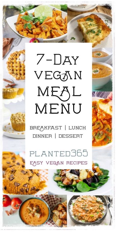 Labor Day is over and kids are back to school! Don’t know what to cook tonight but want something healthy? Are you looking for vegan meal plan ideas? Need some recipes for Meatless Monday? This plant-based, vegan meal plan menu will help. A full day of easy-to-make recipes that will keep you happy and satisfied. Veganuary Meal Plan, Vegeterian Week Meal Plan, Vegan Meal Plan, Meal Plan Ideas, Vegetarian Menu, Vegan Menu, Vegan Meal Plans, Vegan Meal Prep, Best Vegan Recipes