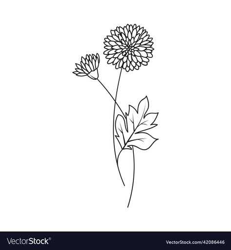 Simple Chrisantemum Tattoo, Birth Month Flower Tattoos November, Minimal Chrysanthemum Tattoo, White Chrysanthemum Tattoo, Christanthium Flower Tattoo, Black And White Chrysanthemum Tattoo, Chrysanthemum Simple Drawing, November Flower Drawing, Simple Chrysanthemum Tattoo Outline