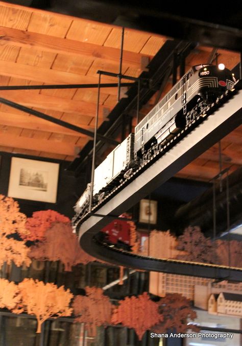 Ceiling Train, Model Train Display, Train Display, Garden Trains, Model Train Table, Model Training, Model Train Accessories, Train Decor, Garden Railroad