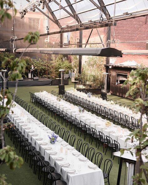 Our first ever corporate dinner event for 150 guests, in the phenomenal open air cathedral @inthehanginggarden . We are so keen to dress this unique space for a wedding, corporate event or celebration in the future! Who’s in?! . Photography @davidmuirphoto Flowers @form_floraldesign Design @artaud_and_co . #tasmania #eventstylist #corporateevents #eventinspiration #weddingstylist Open Space Wedding, Corporate Dinner Event, Corporate Dinner, Hey Babe, Dinner Event, Wedding Stylist, Space Wedding, Air Space, Event Inspiration