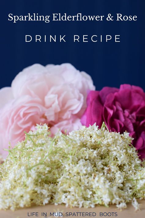 Make a supply of Sparkling Elderflower and Rose drink to last you all through summer. Easy recipe using elder flowers and rose petals. The perfect summer drink. Elderflower Drink, Soda Stream Recipes, Elderflower Champagne, Eating Flowers, Rose Drink, Cordial Recipe, Rose Lemonade, Elderflower Cordial, Perfect Summer Drink