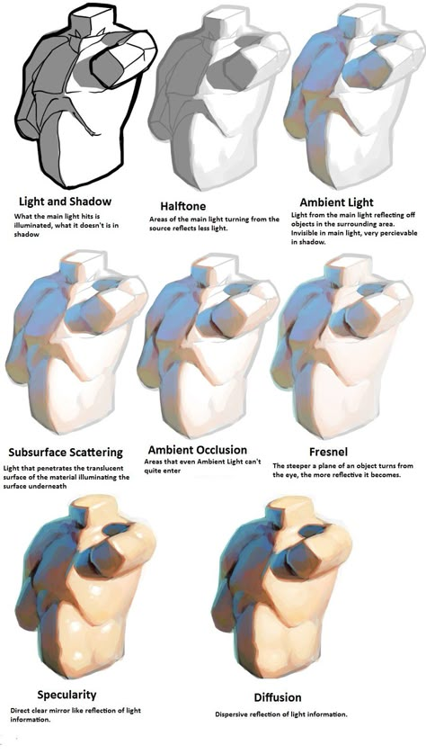 Light dictionary tutorial thing #artreference #lightingreference #shadowreference #digitalart #referencesheet Lighting Face Drawing, Line Weight Tips Art, Aesthetic Oc Art Male, Lighting Angles Reference, Drool Reference, Light From Behind Reference Drawing, Color Study Reference Photography, Subsurface Scattering Tutorials, Anime Lighting Reference