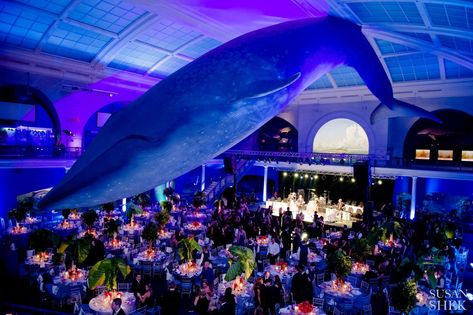 museum of natural history wedding, wedding at museum, museum wedding, wedding photographer, wedding venue Natural History Museum Wedding, History Wedding, Future Museum, Firefly Forest, New York City Museums, Luxurious Honeymoon, Charming Backyard, Wedding Venues New York, Landscape Wedding