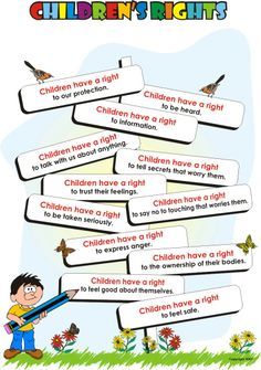 RIGHTS OF THE CHILD on Pinterest | Scotland, Children and Child Rights Children's Rights And Responsibilities, Rights Respecting Schools, Class Charter, Survival Recipes, Rights Of The Child, Child Rights, Basic Human Rights, Protective Behaviours, Survival Of The Fittest