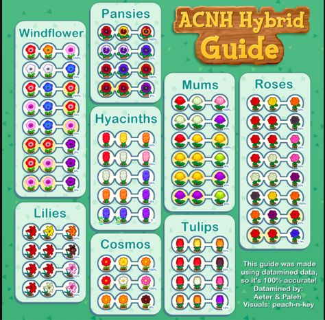 Animal Crossing Hybrid Flower Breeding Guide, Windflower, Pansies, Hyacinths, Mums, Roses, Lilies, Cosmos, Tulips Animal Crossing 3ds, Ac New Leaf, Animals Crossing, Animal Crossing Guide, Animal Crossing Wild World, Qr Codes Animal Crossing, Animal Crossing Villagers, Flower Guide, New Animal Crossing