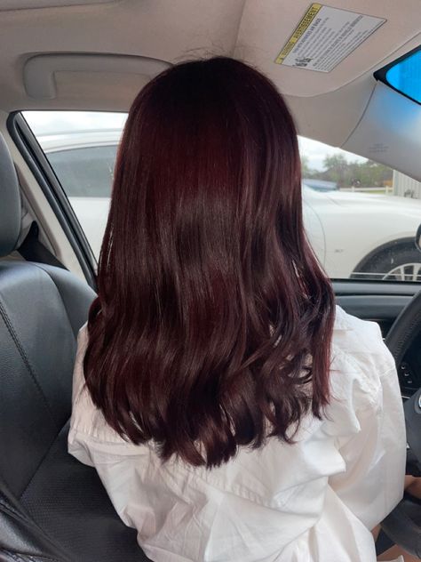 Dark Red Hair Color On Brown Hair, Brown Hair Over Red Dye, Dark Red Hair Over Brown, Red Tint On Black Hair, Cherry Coke Hair Color Aesthetic, Dark Cherry Red Hair Pale Skin, Natural Wine Red Hair, Dark Cherry Coke Red Hair, Red Hair Dye On Dark Brown Hair