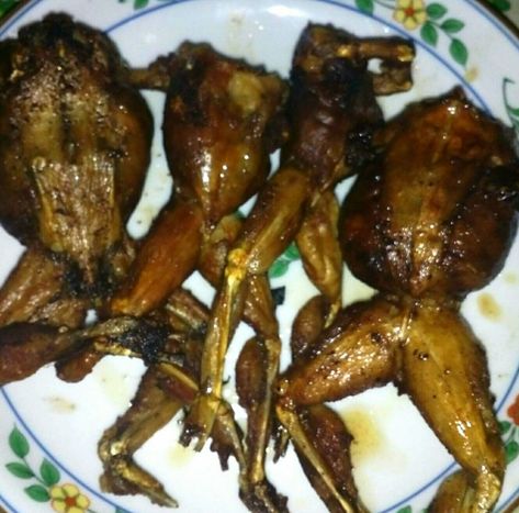 Bad Thanksgiving Food, Gross Food Pictures, Disgusting Food, Stuffed Frog, Restaurant Experience, Bizarre Foods, Gross Food, Cheap Meal Ideas, Simple Family Meals