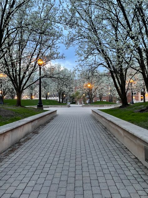 Blooming trees surrounding circle at Purdue University #spring #aesthetic #nature Spring Semester Aesthetic, Purdue University Aesthetic, Romanticize College, Spring Aesthetic Nature, Heart Nebula, Campus Aesthetic, Masters Degree Graduation, College Vision Board, College List