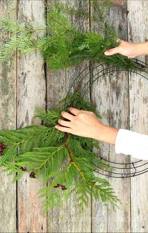 Christmas Wreaths Diy Evergreen, Natural Christmas Wreaths, Wreaths Farmhouse, Outdoor Christmas Wreaths, Fresh Christmas Wreath, Flower Decoration Ideas, Cedar Wreath, Crafts Winter, Handmade Christmas Wreaths