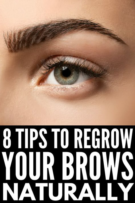 Brow Tips, Grow Eyebrows Faster, Regrow Eyebrows, Brow Hacks, Grow Eyebrows, Eyeshadow Basics, Diy Hair Growth, Fast 8, Hair Growth Remedies