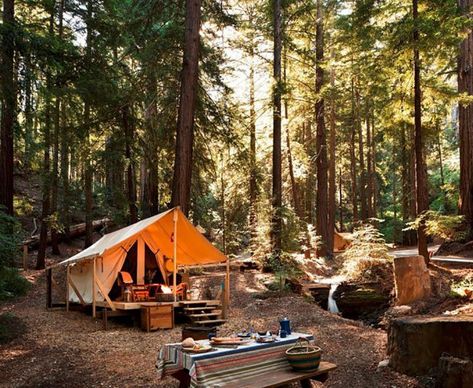 6 Outrageously Cool Luxury Camp Sites in the US Forest Tent, Camping Life Hacks, Motorhome Camping, Glamping Ideas, Camping Family, Camp Site, Camping Aesthetic, Glamping Site, Camp Style