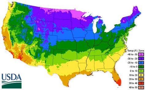 Garlic Planting Chart Shows When to Plant Garlic in Your Climate Seed Planting Guide, Planting Zones, Vegetable Planting Guide, Plant Hardiness Zone Map, Vegetable Planting, Watermelon Plant, Planting Guide, Gardening Zones, Plant Zones