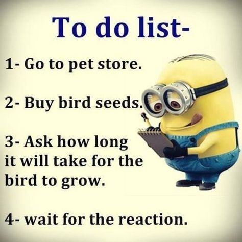 😂😂 #humour #humor #minion #laugh #rire #seeds #words #funny #drole #science #experimentation #experiences Funny Life Hacks, Minion Memes, Funny Jokes To Tell, Work Quotes Funny, Sarcasm Quotes, Super Funny Quotes, Clean Jokes, Funny Pictures With Captions, Funny Quotes Sarcasm