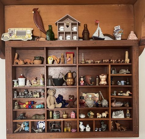 Shadow Boxes Diy, Knick Knack Shelves, Gallery Wall Decor Ideas, Soap Sculpture, Trinket Shelf, Collection Shelf, Girlie Aesthetic, Knick Knack Shelf, Printer Tray