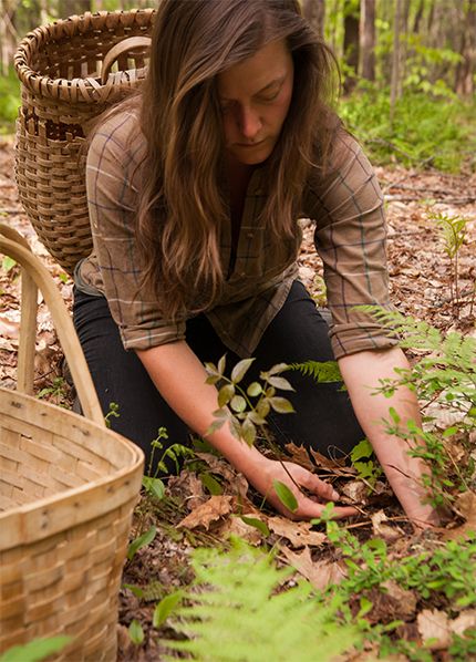 Food Foraging, Edible Gardening, Foraged Food, Dystopian Novels, Folk Magic, Things To Eat, Book Challenge, Pose References, Edible Garden