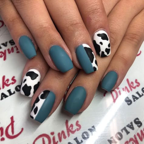 Unique Black Nails Acrylic, Dark Blue Cow Print Nails, Cow Nails Designs Short, Nails For The Month Of May, Cow Print Western Nails, Navy Blue Cow Print Nails, Winter Cow Print Nails, Livestock Show Nails, Purple Cowprint Nails