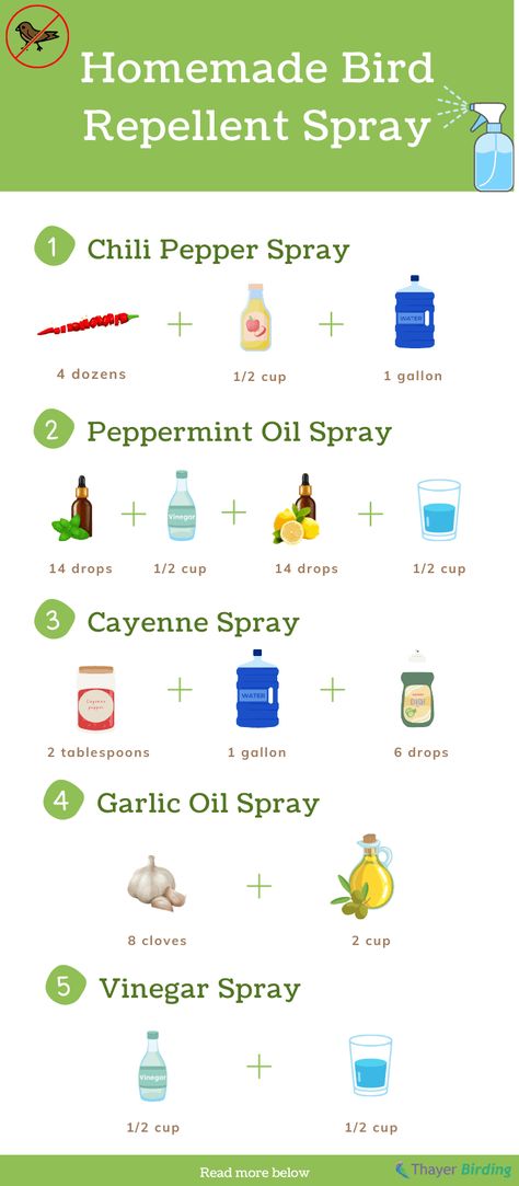 Homemade Bird Repellent Spray to Keep Birds Away - 5 Methods Bird Repellent Ideas, Bird Repellent Ideas Diy, Keep Birds Out Of Garden Diy, Bird Deterrent Ideas For Garden, Diy Pigeon Repellent, Keep Birds Out Of Garden, Bird Deterrent Ideas Diy, Woodpecker Repellant, Bird Repellent Spray