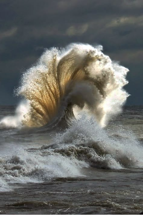 Artist #PerfectPicture Pin Party Wave Crashing, Perfectly Timed Photos, Amazing Photos, Nature's Beauty, Science And Nature, Ocean Waves, Beautiful Photography, Amazing Nature, Nature Pictures