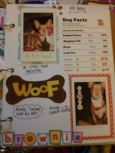 Pet. Smash journal Scrapbook Ideas For Pets, Scrapbook Ideas For Animals, Scrapbook Ideas Pets, Pet Photo Album Ideas, Animal Scrapbook Ideas, Scrapbook Dog Ideas, Dog Memorial Scrapbook, Dog Journal Page, Scrapbook Ideas For Dogs