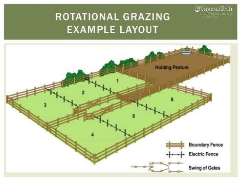 Farm Structure Ideas, Mini Farm Layout Ideas, Rotational Grazing Layout, Horse Paddock Ideas Layout, Goat Pasture Ideas, Home Orchard Layout, Barn Layout Multi Animal, Farm Plans Layout Design, Pig Pen Ideas