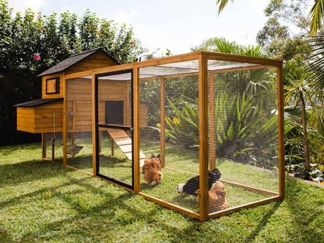 Coop And Run, Walk In Chicken Coop, Coop Run, Chicken Coop Garden, Chicken Coup, Chicken Coop Run, Backyard Chicken Farming, Chicken Coop Designs, Chicken Garden