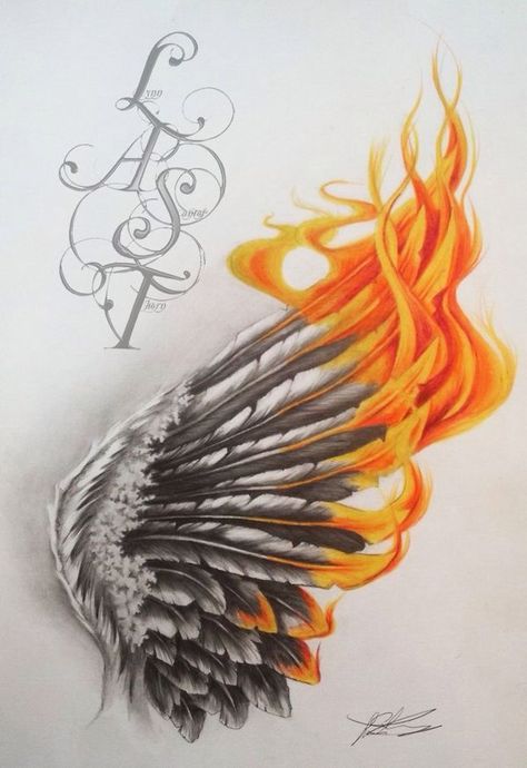 ❝Don't dwell over what could have been, if there's no chance it could… #fanfiction # Fanfiction # amreading # books # wattpad Tattoo Feather, Phönix Tattoo, Phoenix Tattoos, Kunst Tattoos, Phoenix Tattoo Design, Muster Tattoos, Wings Drawing, Angel Wings Tattoo, Phoenix Art