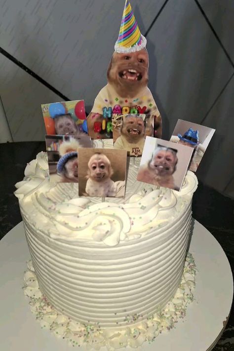 Monkey Birthday Cakes, Monkey Party Ideas, Monkey Birthday Parties, Monkey Cake, Monkey Birthday, Funny Birthday Cakes, Monkey Pictures, Happy Birthday Sister, Cute Monkey