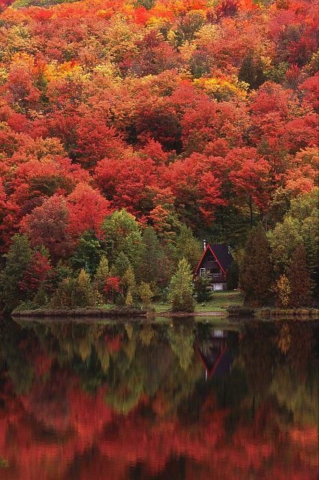 Autumn Lake, Landscape Photography Tips, Image Nature, Autumn Scenes, Colorful Trees, Autumn Scenery, Autumn Beauty, A Cabin, Fall Pictures