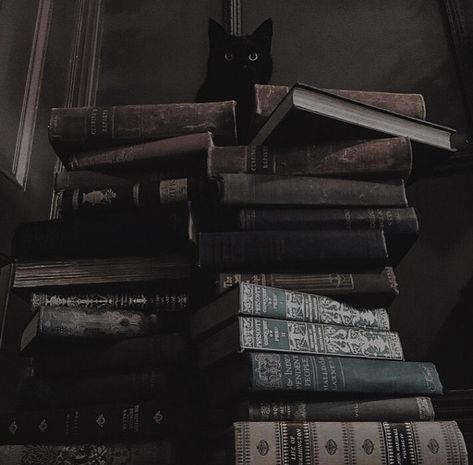 Book Aesthetic Dark Black, Books Black And White Aesthetic, Black Book Aesthetic, Black And White Dark Academia, Swat Aesthetic, Blue Academia Aesthetic, Dark Academia Widget, Blue Academia, Harry Potter Oc