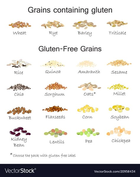 Gluten Free Food List, Celiac Diet, What Is Gluten, Gluten Free Info, Auto Immune, Gluten Free Living, Gluten Free Grains, Gluten Sensitivity, Gluten Free Foods