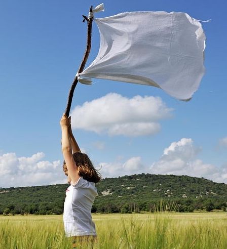 White Flag Surrender, White Flag, Wheat Fields, Jesus Bible, Mom Help, Historical Events, The Flag, Garden Planning, Cover Photos