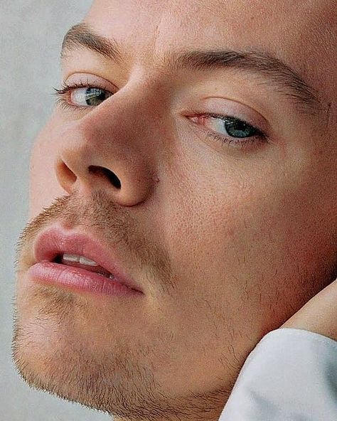 Harry Styles Eyes, Harry Styles Golden, Harry Style, Harry 1d, Harry Styles Cute, Harry Styles Wallpaper, Harry Styles Pictures, Harry Styles Photos, Family Show