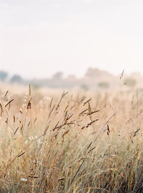 Gradient Image, Prairie View, Film Lab, Summer Field, Garden Whimsy, Instagram Background, Wallpapers Images, Free Hd Wallpapers, Light Summer